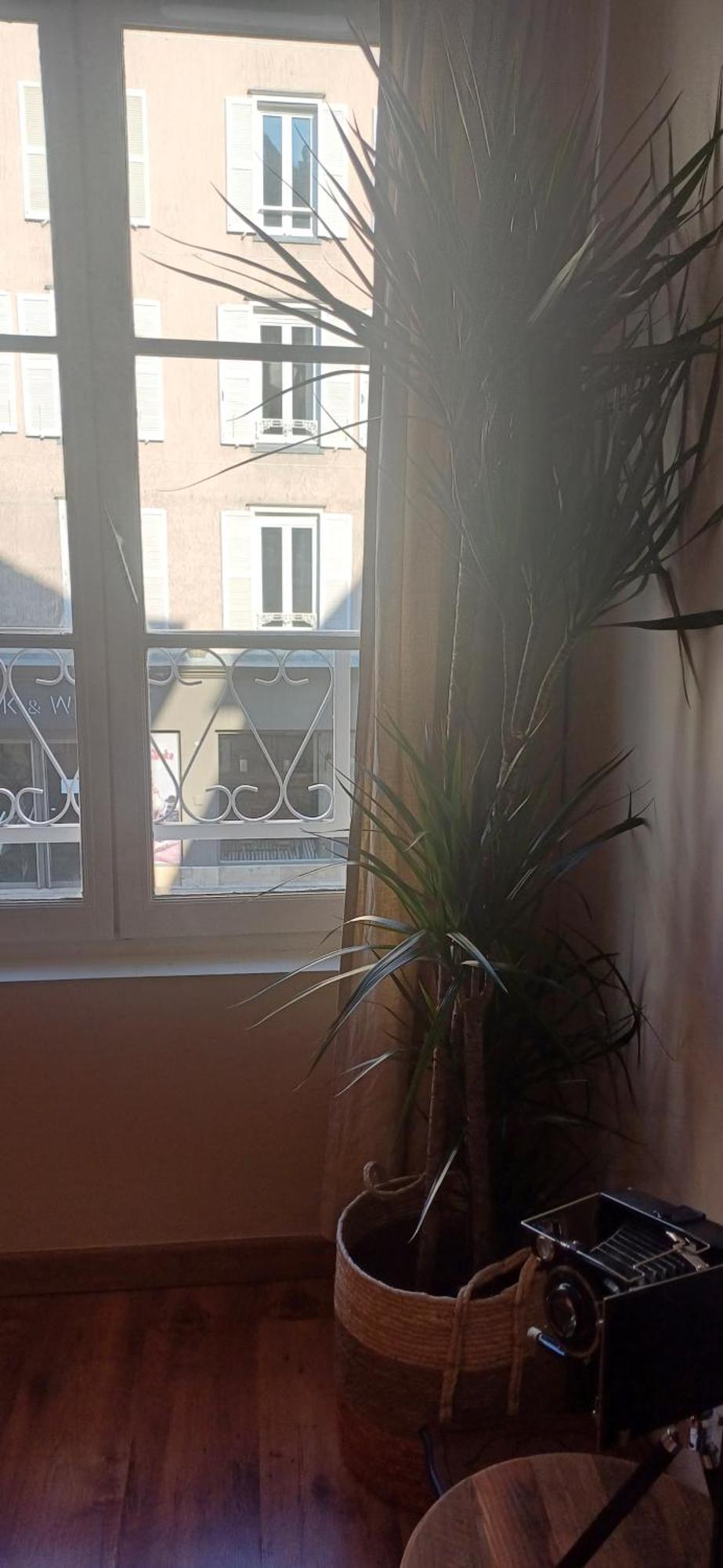 Authentique 2 Chambres, Hyper Centre, French Corner Apartment Troyes